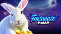 Fortunate Rabbit