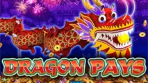 Dragon Pays