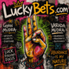 The Operator’s Guide to Mudras: Tactical Luck Enhancement