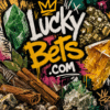 The Material Edge: Earthly Elements for Maximum Luck